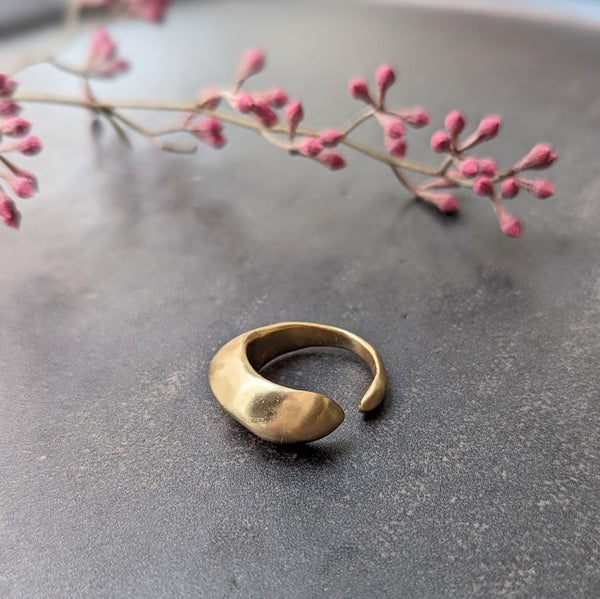 Julie Cohn Dome Bronze Adjustable Ring 